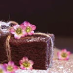 p15 la receta – torta de chocolate sin azúcar1