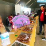 p16 mercado de alimentos1