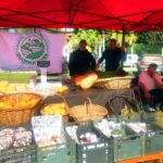p16 mercado de alimentos2