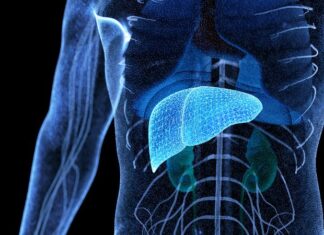 La Histórica fue elegida para la campaña nacional