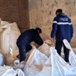 p5 aduana – frenan exportación1