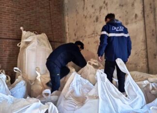 Aduana. Frenaron una exportación irregular de maíz partido
