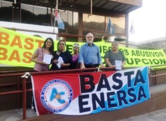 Tarifa eléctrica. La Asamblea local destacó el paso del Concejo de Federación