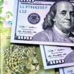 p8 – El dólar blue quedó cerca de los $500