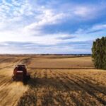 p8 – Se prevé un escenario favorable