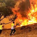 p9 – Incendios en el Mediterráneo dejan más de 30 muertos