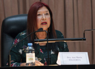 Abogados constitucionalistas aseguran que la jueza Ana María Figueroa no puede seguir en el cargo sin acuerdo del Senado