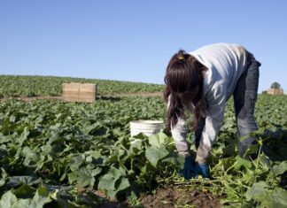 Invitan a participar del concurso fotográfico “𝗘𝗹 𝗰𝗮𝗺𝗽𝗼 𝘆 𝘀𝘂𝘀 𝗽𝗿𝗼𝘁𝗮𝗴𝗼𝗻𝗶𝘀𝘁𝗮𝘀”
