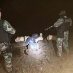 Pagina 6 Incautaron más de 130 kilos de marihuana