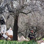 Pagina 7 Encontraron una hoja de amoladora y tres guantes