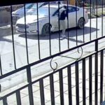 Pagina 8 Delincuentes fueron a votar y terminaron a los tiros