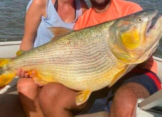 Establecieron la veda para la pesca de dorado en el Río Uruguay
