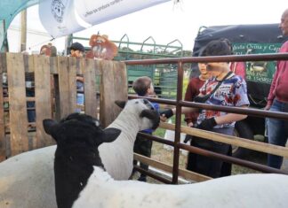 La Expo 2023 y su agenda de horarios para mañana