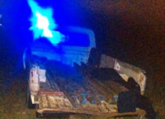 Dos hombres detenidos cuando robaban 20 metros de rieles
