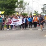 p15 concepro3