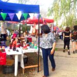 p16 feria la delfina1