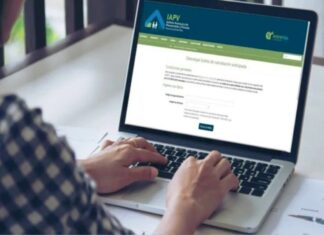 IAPV. Comienza a funcionar la boleta en formato digital