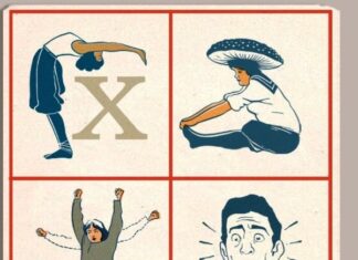 Normalismos actuantes. Preparan las dos últimas funciones