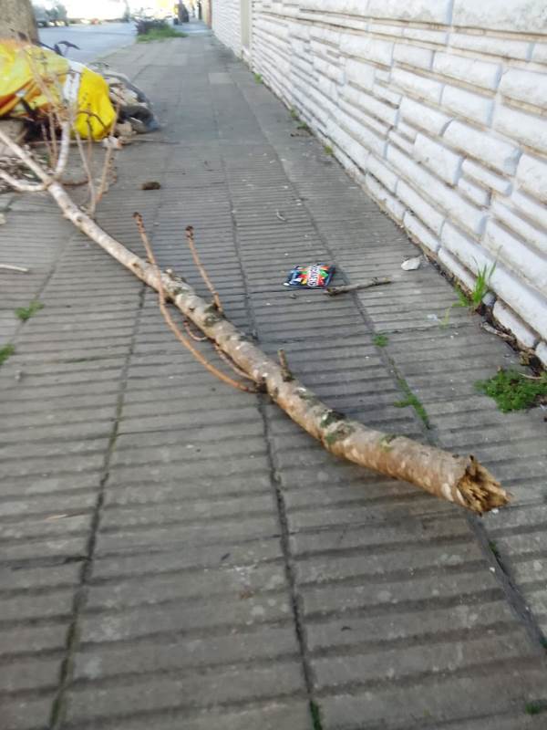 p4 la calle en tu barrio1