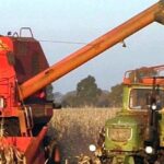 p5 – La producción maicera consolida la cadena avícola