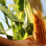 p5 – Personalidades destacadas integrarán el Congreso