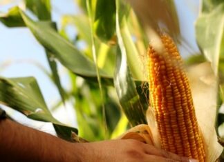 Personalidades destacadas integrarán el Congreso