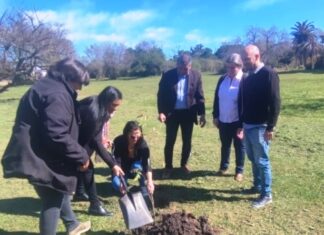 CARU reinició la entrega de árboles