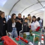 p5 expo concepción1