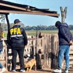 p7 -Tambo explotación
