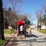 Pagina 3 Siguen retirando caballos de la vía pública