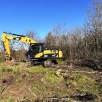 Pagina 4 Comenzaron la erradicación de Acacias Negras