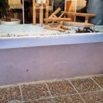 Pagina 6 Un animal salvaje ingresó a un comercio de la ciudadd