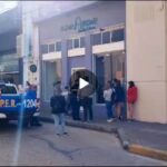 Pagina 6 Un animal salvaje ingresó a un comercio de la ciudaddd