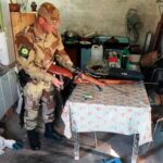 Pagina 7 Desbaratan una banda que cometía delitos en zonas rurales