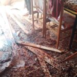 Pagina 7 Incendio afectó parte de una vivienda