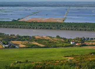 SMN declaró el inicio de El Niño: ¿Qué se espera en Argentina?
