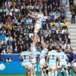 p1 – pumas