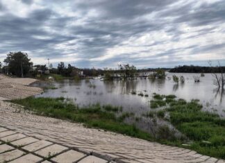 El río continúa en baja rumbo a su normalidad