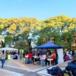 p16 centros de jóvenes y adultos2