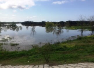 Tras llegar al pico. El río Uruguay comenzó a retroceder