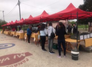 La Feria en Tu Barrio pasó por el Predio Multieventos