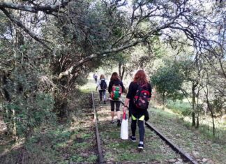 Nueva salida de caminata aventura. Exploraron sendero marcado sobre rieles
