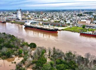Un nuevo buque entró y ya carga en el puerto local