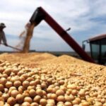 p8 – Crecería un 70% la