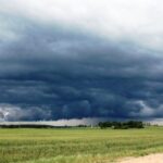 p8 – El adelantó de las lluvias beneficiaria la situación