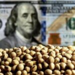 p8 – Se oficializó una nueva edición del Dólar Soja
