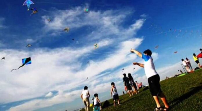 Pagina 4 Barrileteada solidaria en la isla del puerto