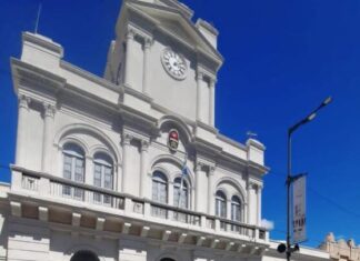 Nuevos móviles para la ciudad