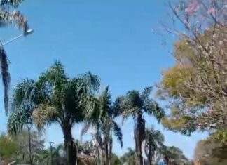 VIDEO: Tremendo despliegue en las estaciones de servicio