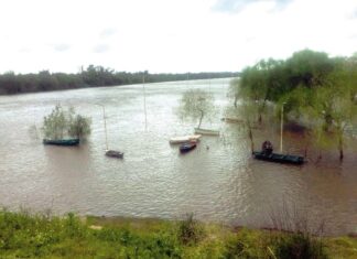 El río Uruguay alcanzó ayer los 4,72 en el puerto local
